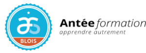 Logo Blois